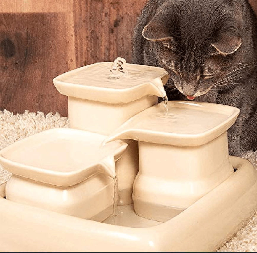fontaine a eau chat Miaustore 8 bassins