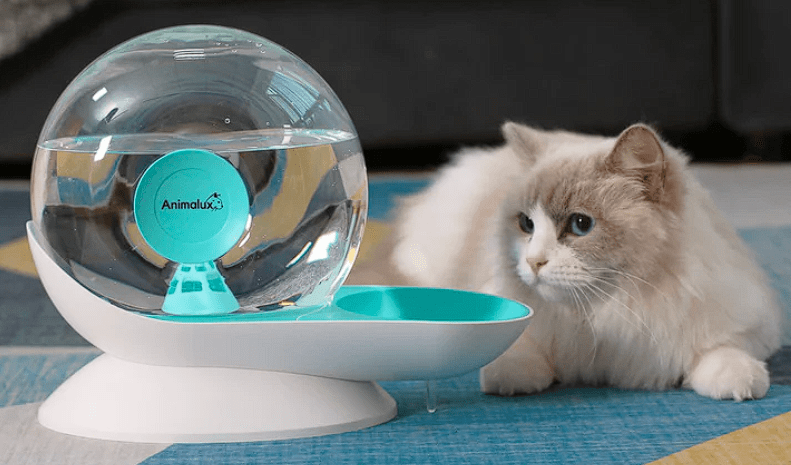 fontaine à eau pour chat AquaFons