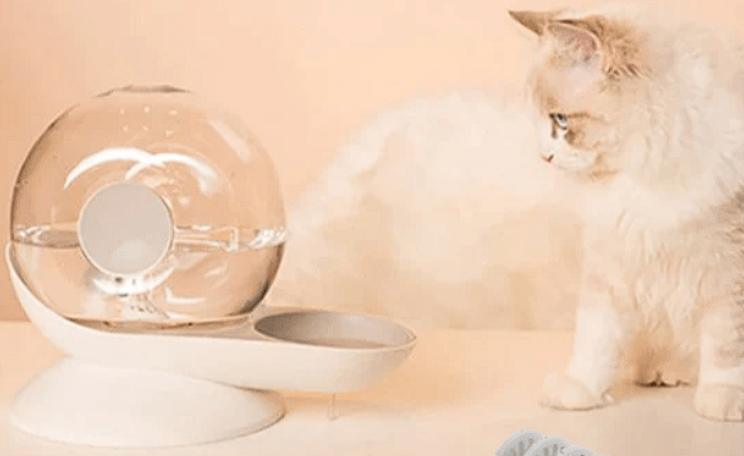 Fontaine à Eau Chat Sans Electricité - Escarg'eau™